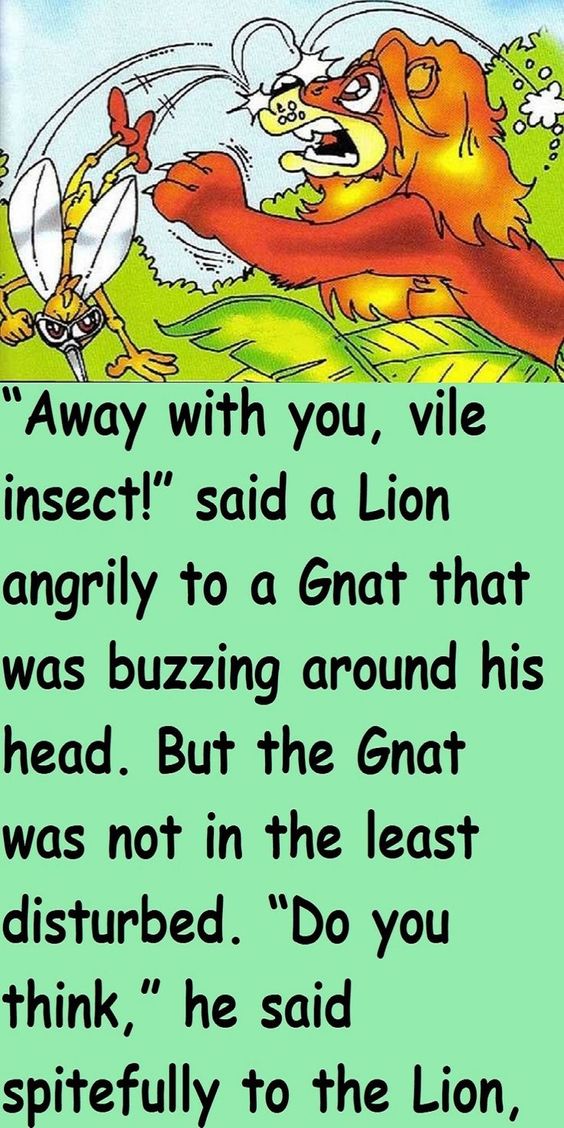 Moral Story – The Lion and the Gnat