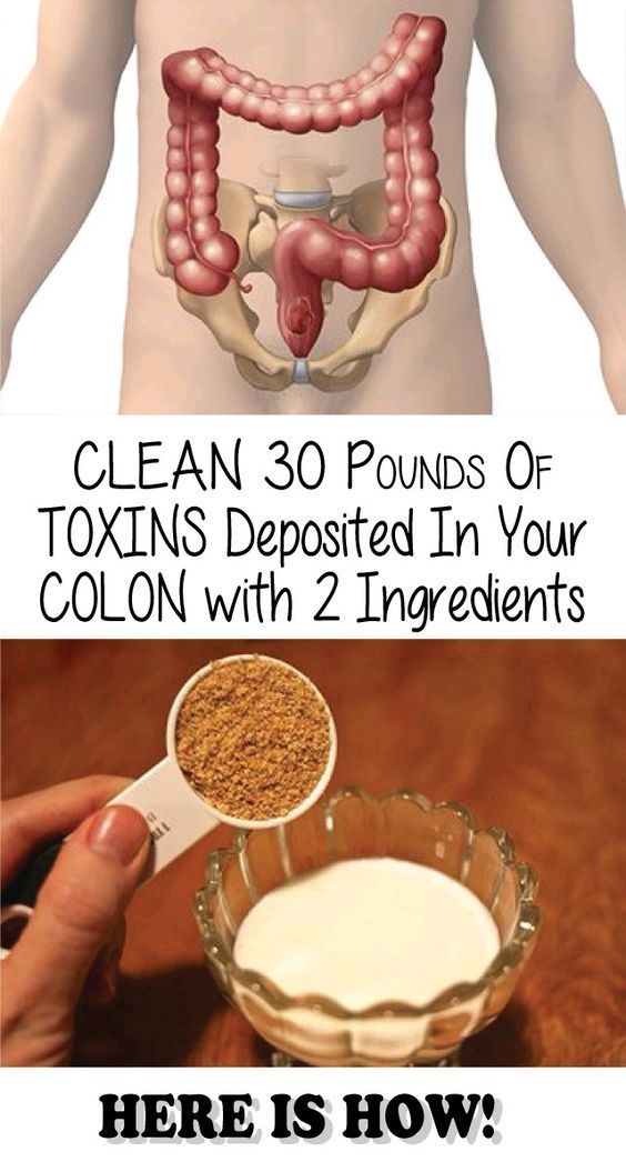 The colon is one of the most important organs in the body because it regulates the immune system